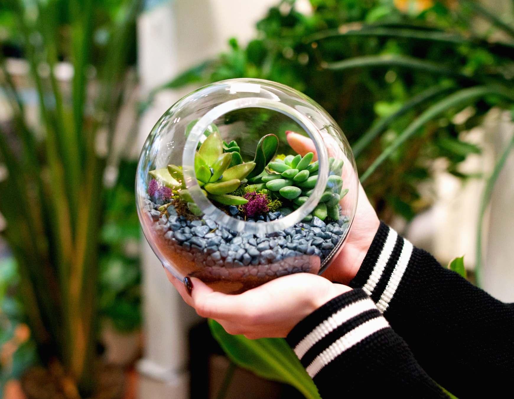 Glass Earth
