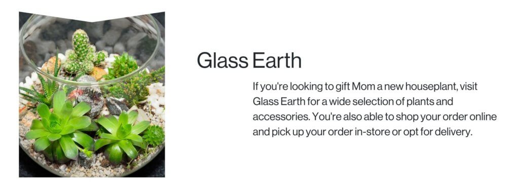 Glass Earth terrarium