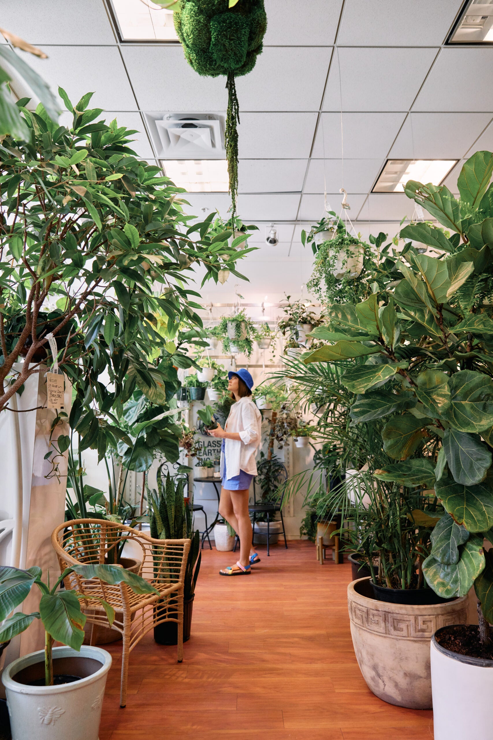 Girl in a plant store