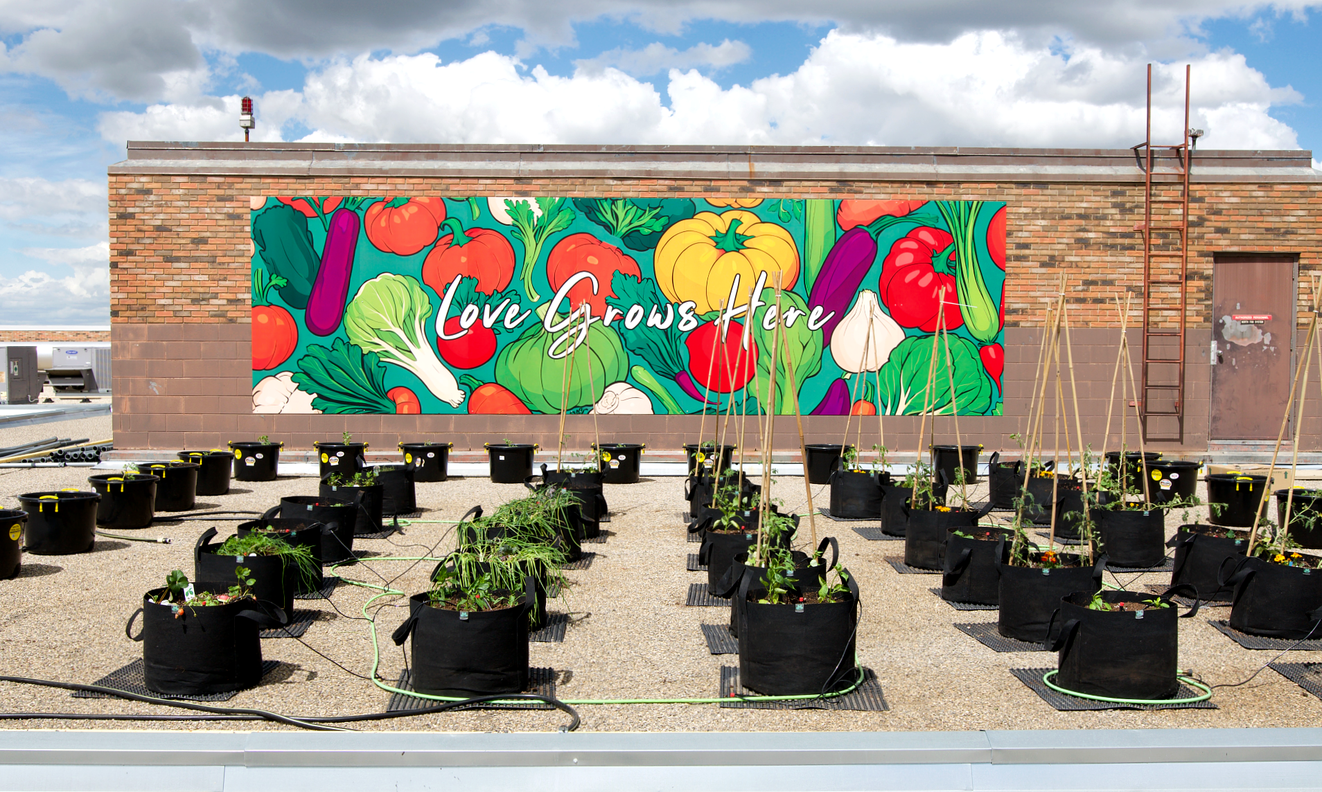 Kingsway Mall's rooftop garden, featuring planters and a painted mural of vegetables with "Love Grows Here" text