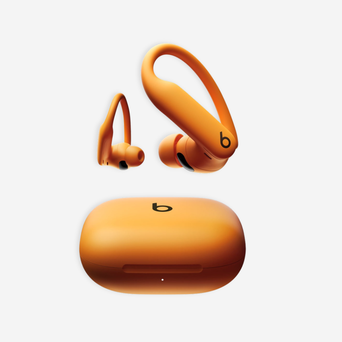 ear buds